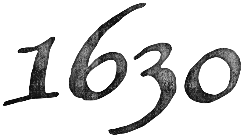 Islive logo.